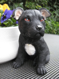 beeldje/asbeeldje/urn Staffordshire Terriër puppy zwart