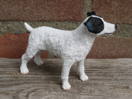 beeldje Jack Russell ruwhaar wit-zwart