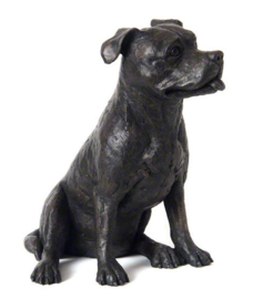 asbeeld/urn Staffordshire Bull Terriër | 30 cm