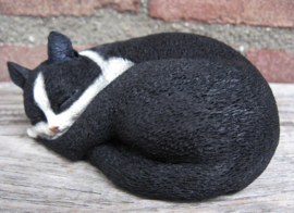 kattenbeeldje 'pleasant dreams' zwart-wit