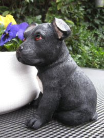 beeldje/asbeeldje/urn Staffordshire Terriër puppy zwart