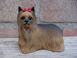 beeldje Yorkshire Terrier staand