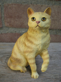 beeldje zittende kat rood tabby