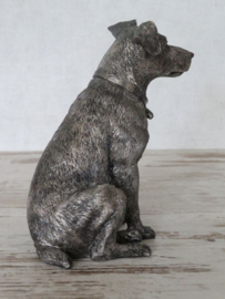 urn Jack Russell zittend (gedeelte as)