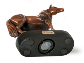 paardenurn/asbeeld 'Champion'