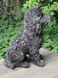 asbeeld/urn Labradoodle