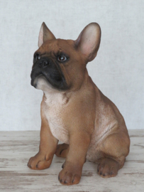 beeld/asbeeld/urn Franse Bulldog beige | 30 cm