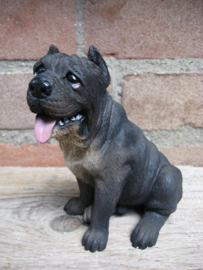 beeldje Mastino Napoletano