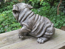 asbeeld/urn Engelse Bulldog