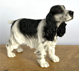 beeldje Engelse Cocker spaniel zwart-wit