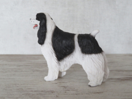 beeldje Engelse Springer spaniel wit-zwart