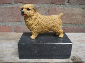 beeldje Norfolk Terrier