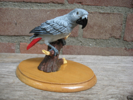 beeldje Grijze Roodstaart papegaai