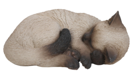 beeld/asbeeld/urn Kat slapend colourpoint