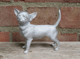 beeldje Chihuahua korthaar staand