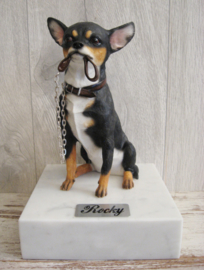 beeldje Chihuahua korthaar tricolour met riem
