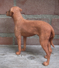 beeldje Rhodesian Ridgeback