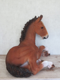 beeld/asbeeld/urn Paard bruin