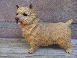 beeldje Norwich Terrier
