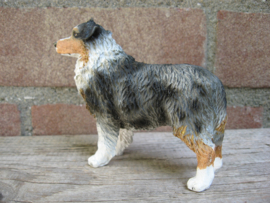 beeldje Australian Shepherd blue merle