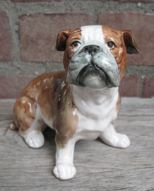 vintage beeldje Engelse Bulldog porselein