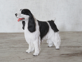 beeldje Engelse Springer spaniel wit-zwart