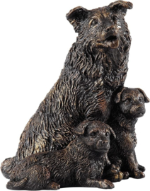 beeldje Border Collie met pups bronskleur