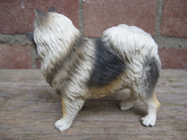 beeldje Keeshond