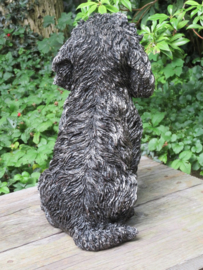 asbeeld/urn Labradoodle