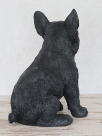 beeld/asbeeld/urn Franse Bulldog zwart | 30 cm