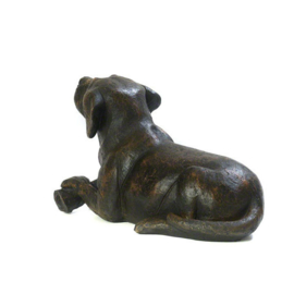 asbeeld/urn hond met bot | 40 cm