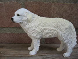 beeldje Pyreneese Berghond wit