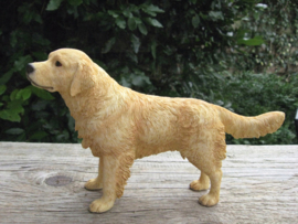 beeldje Golden Retriever staand