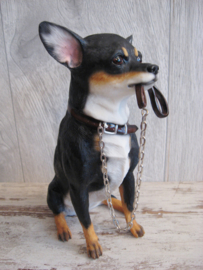 beeldje Chihuahua korthaar tricolour met riem