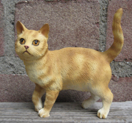 beeldje staande kat rood tabby
