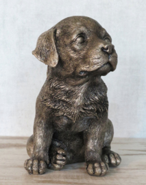 asbeeldje/urn Labrador puppy