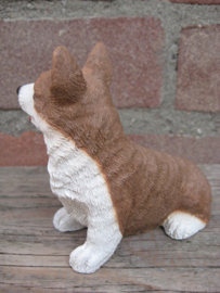 asbeeldje Welsh Corgi Pembroke