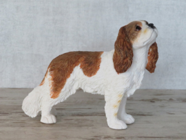 beeldje Cavalier King Charles spaniel blenheim