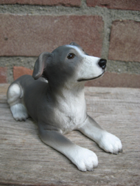 beeldje Greyhound puppy grijs-wit