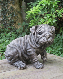 asbeeld/urn Engelse Bulldog