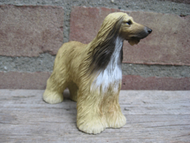 beeldje Afghaanse Windhond tan-wit