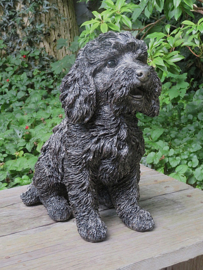 asbeeld/urn Labradoodle