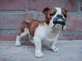 beeldje Engelse Bulldog vintage