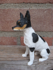 beeldje Rat Terrier