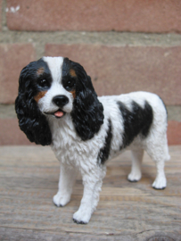 beeldje Cavalier King Charles spaniel tricolour