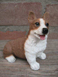 asbeeldje Welsh Corgi Pembroke