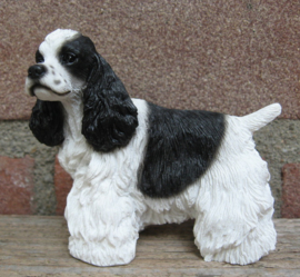 beeldje Amerikaanse Cocker spaniel zwart-wit