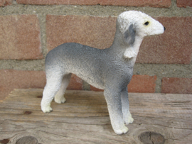 beeldje Bedlington Terriër