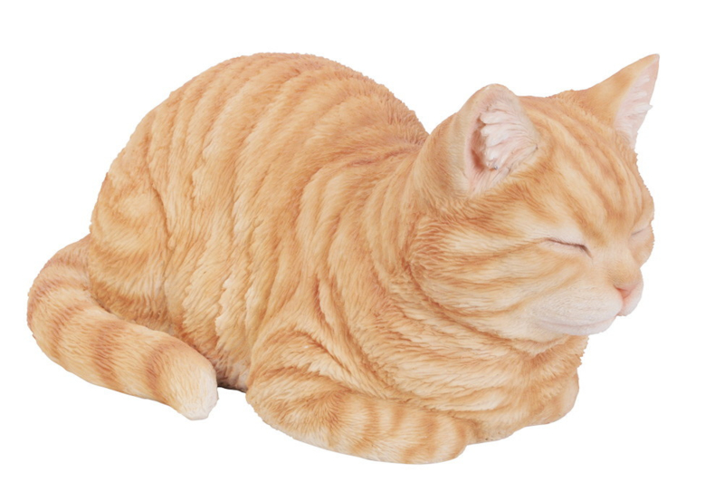 Rimpels delicaat Socialistisch Kattenbeeldjes | Memodiera