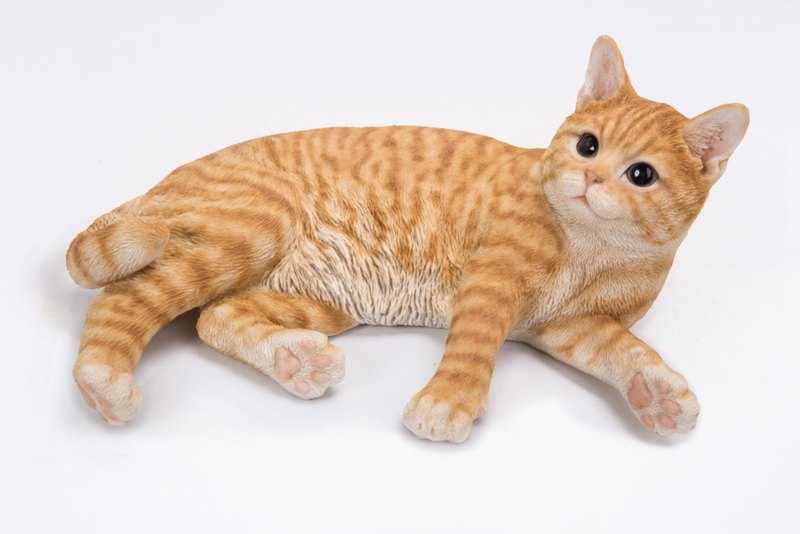Rimpels delicaat Socialistisch Kattenbeeldjes | Memodiera